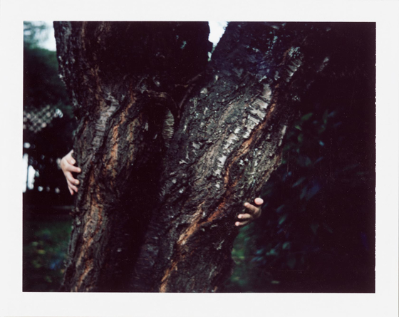 Polaroid self portrait of myself hugging a tree